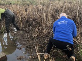 Salford volunteers brave cold to maintain Crescent Meadow pond