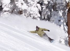 credit- https://en.wikipedia.org/wiki/Snowboarding#/media/File:Snowboarding.jpg