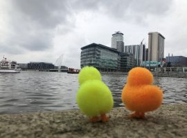 All you need to know about the Quays Duck Race 2019