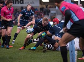 RUGBY UNION: Sharks shine to claim bonus point win over Leicester