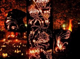 The Fire Garden Show. Image Credit: Photograph by Nathan Jackson
