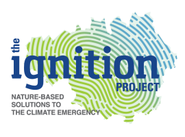 IGNITION Project – revitalising Salford’s greenery