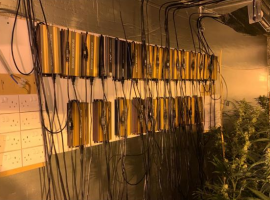 Police uncovered the cannabis plants, alongside a highly sophisticated filtration system. Image Credit: GMP