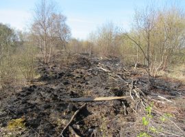 Little Woolden Moss Fire 12.4.21 - credit Lancashire Wildlife Trust (2)
