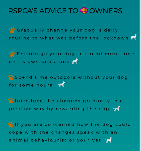 RSPCA'S ADVICE TO DOG OWNERS