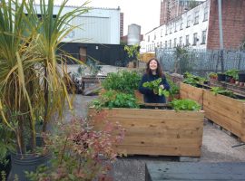 “It’s also about self and community care” – Muddy Millers community garden opens at Islington Mill