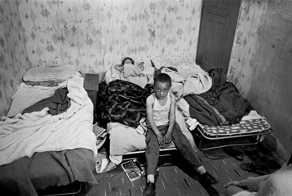 Nick Hedges - Shelter