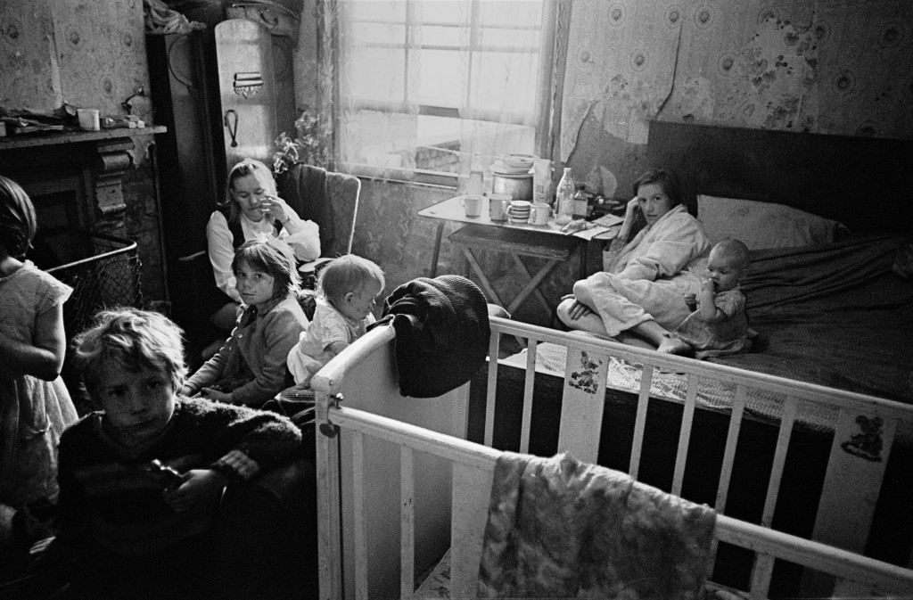 Nick Hedges - Shelter