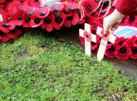 Remembrance Day at the War Memorial at Albert Bentley Place - Image: Kelly Nguyen