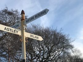 Nature reserve vandalism in Salford described as “heartbreaking”