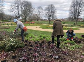 Volunteers give Peel Park’s flower beds a new lease of life