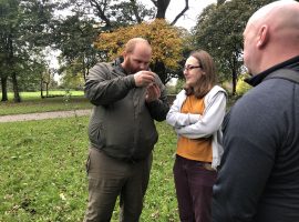 Fungi walk in Lightoaks park on October 12, 2019. Image credit: Mair Llewellyn