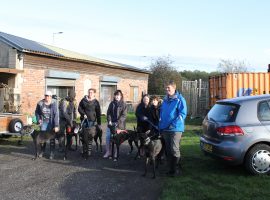 Markants Greyhound Charity volunteers ahead of their Saturday morning walk.