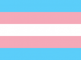 Public domain and copyright free. Retrieved from https://en.wikipedia.org/wiki/File:Transgender_Pride_flag.svg