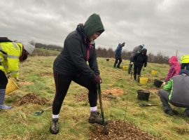 City of Trees are planting 500 trees in one day. Image Credit: Phoebe Walters