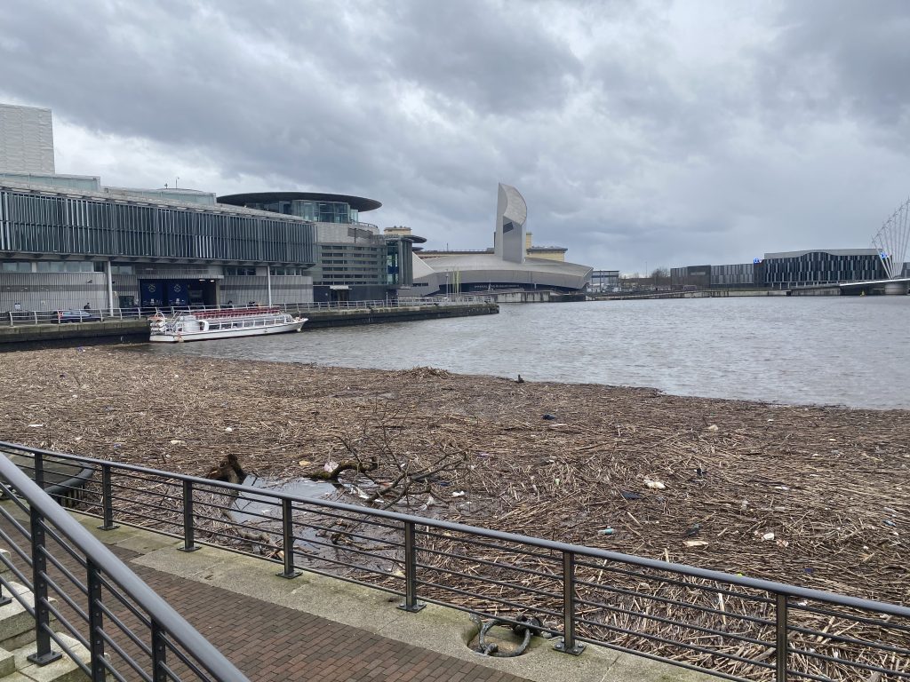 Salford Quays Litter