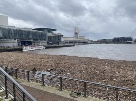 Litter in Salford Quays. Taken by Jason Simon.