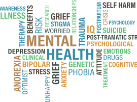 Image found through google tools - https://pixabay.com/illustrations/mental-health-mental-health-cloud-1831391/