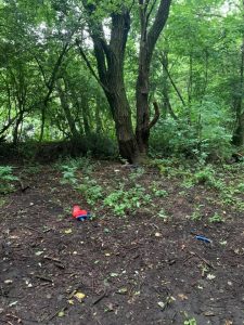 a stickman lies on the ground after being torn from the trees by vandals