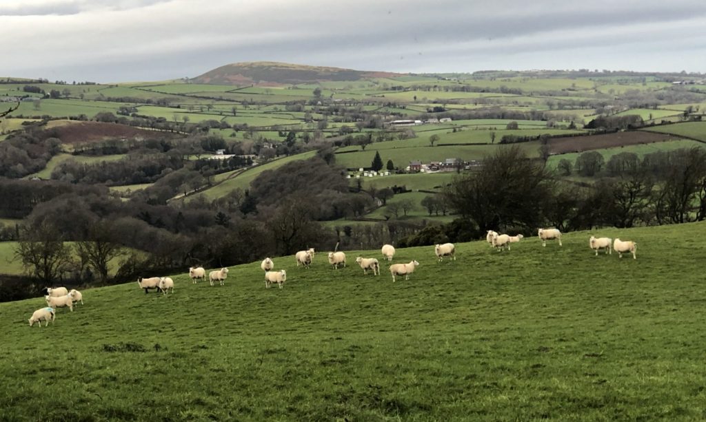 Wales lockdown