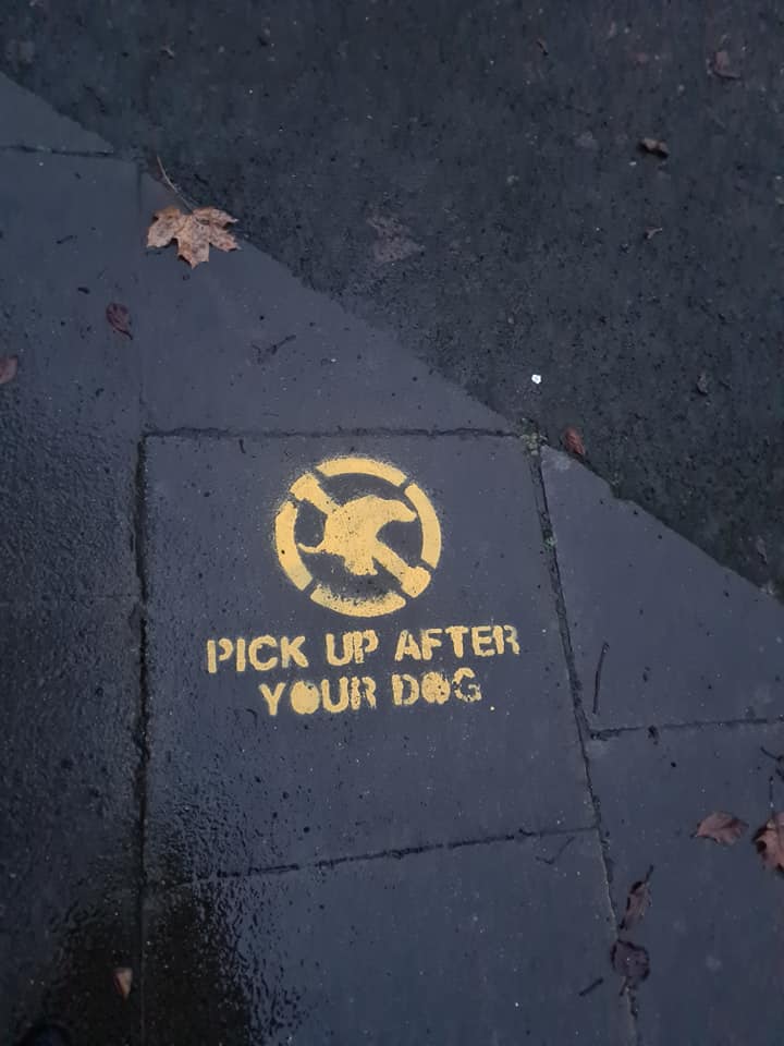 "It just gets to the point where you say 'why always me'" Eccles residents' fury over fly