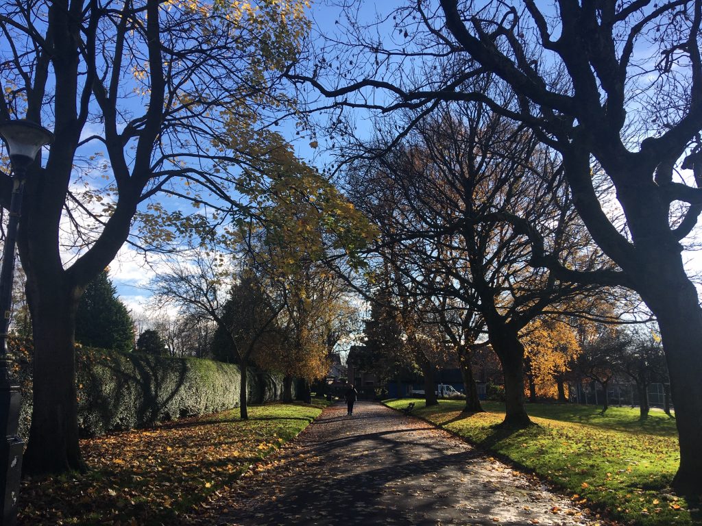 best parks salford