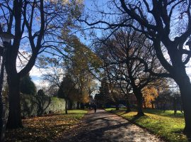 Autumn scene at Victoria Park