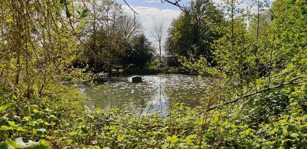 friends of lightoaks park