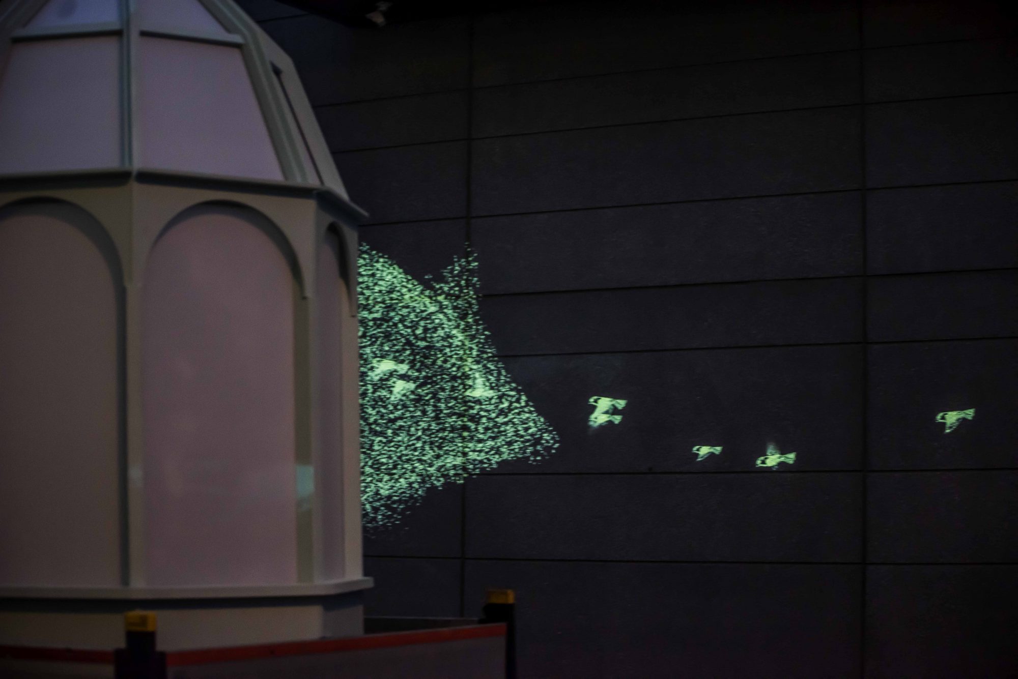 mystery bird light tour Credit: Chris Payane