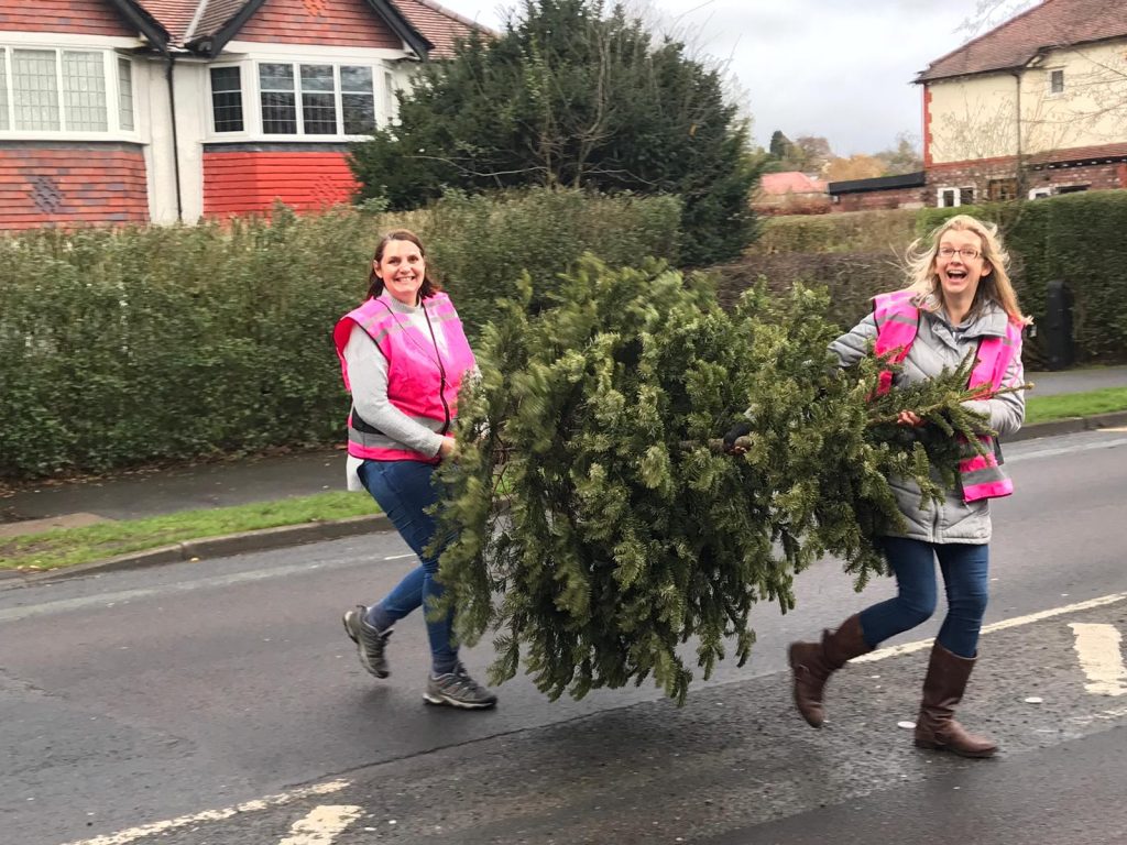 Christmas tree collection