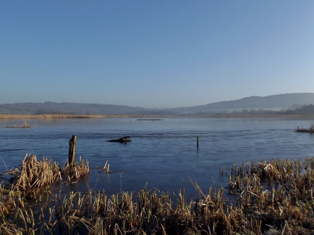 RSPB Salford