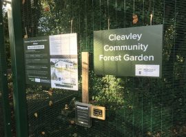 Free forest yoga sessions for Salford residents