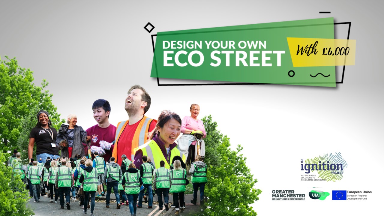 groundwork eco-street competition