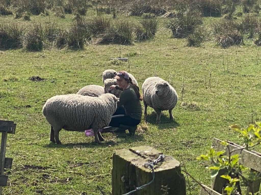 Moss Lane Farm