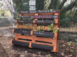 Image credit- Ian Bocock - Plant Swap Pallet at Cleavley Forest Community Garden- permission to use from Ian Bocock