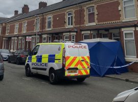 Cannabis farm discovered on Blandford Road.