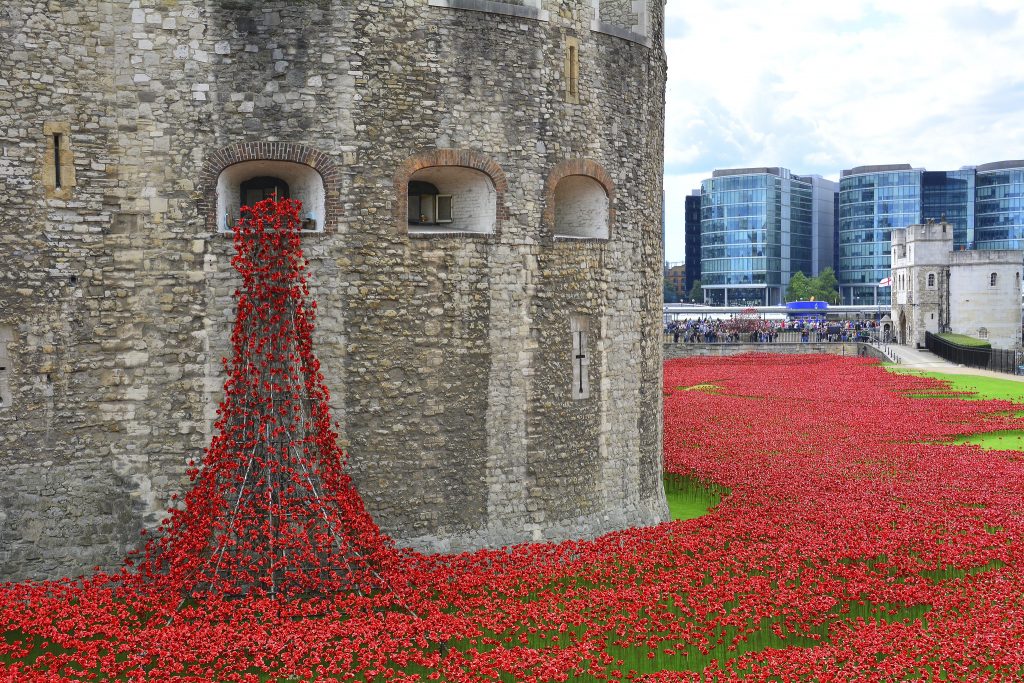 Poppies at the Tower of London. Image credit: Martin Pettitt - https://www.flickr.com/photos/mdpettitt/15097719626/