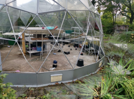 “Mindless” – CCTV crowdfunder after mental health charity’s greenhouse in Salford vandalised