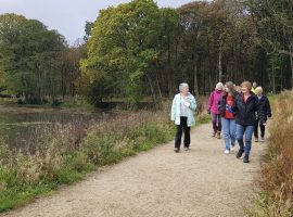 Wellbeing Walks at RHS Bridgewater.

Credit: Salford Community Leisure