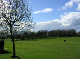 Keith Williamson / Buile Hill Park, Salford
copyright: https://commons.wikimedia.org/wiki/File:Buile_Hill_Park,_Salford_-_geograph.org.uk_-_2290.jpg