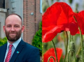 Pictures available under creative commons license from: Ad Meskens and HOST salford. 
https://commons.wikimedia.org/wiki/File:Poppies_in_Flanders_16.jpg

https://www.hostsalford.com/about/the-host-board/