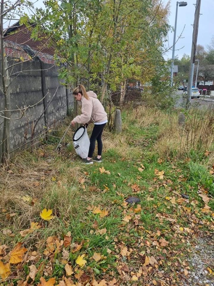 Swinton litter Swinton litter