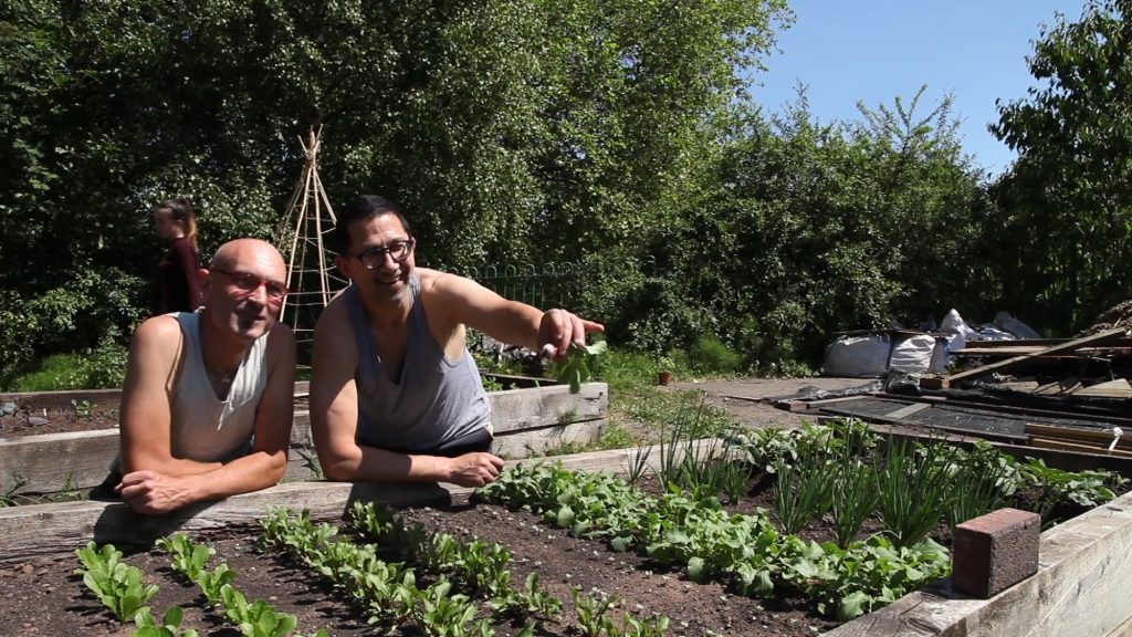 Buile Hill Park allotments