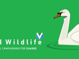 World Vegan Day: “The Wildlife is literally getting burnt alive. People in Salford have to understand that what happens here affects the planet as a whole”