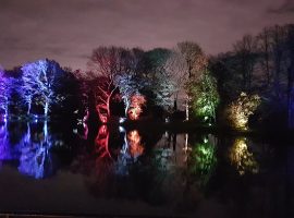 Ellesmere Lake. Image by Annie Brewer