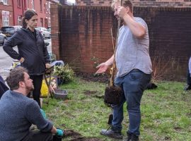 Horsham St community garden. Photo by Helen Stoker.