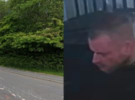 Police appeal for information after woman is bitten by dog