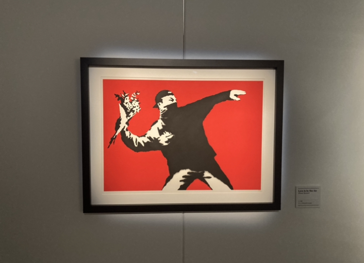 Banksy's Flower Thrower at the Art of Banksy exhibition. Picture credit: Hayden Knowles