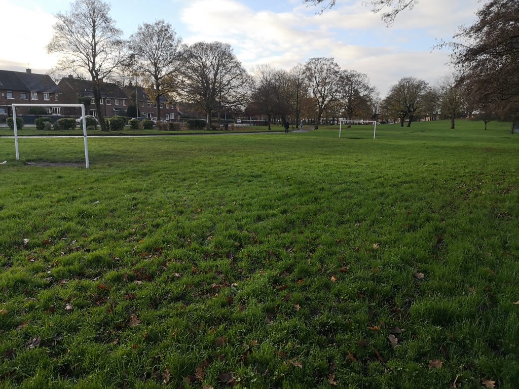 Football pitch in Buile Hill Park