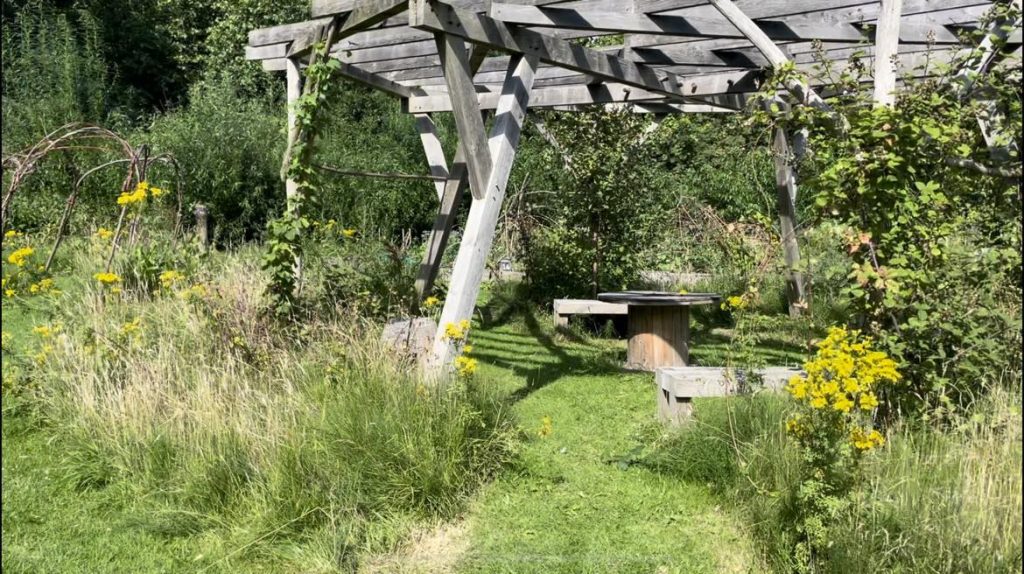 Bench in the Alltoment Areas. Photo Credit: Colleen Lamb